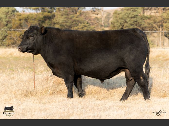 KCM 230105 | TABLE HILL FARMING PTY LTD