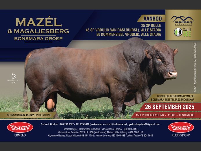 MAZEL & MAGALIESBERG BONSMARA GROEP VEILING