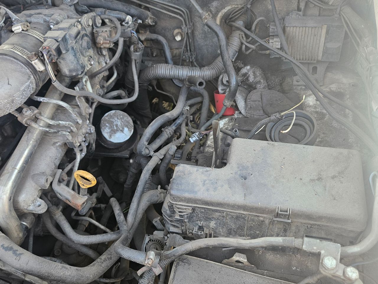 images