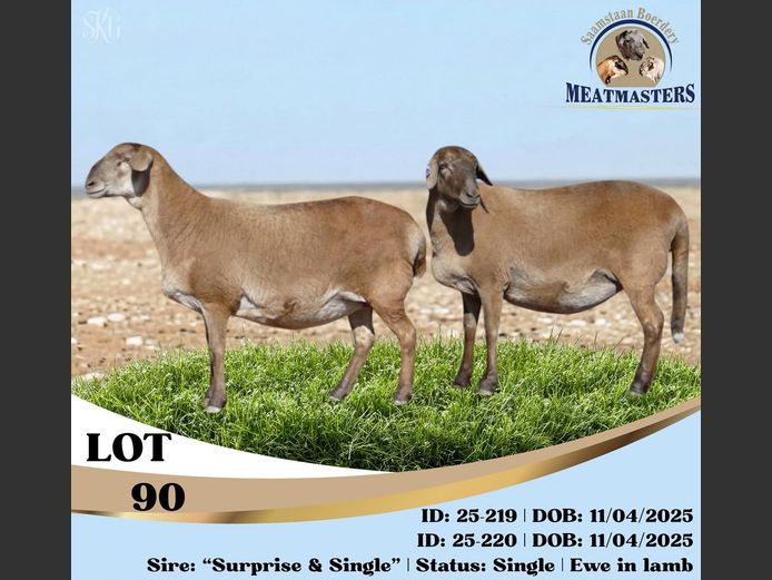25-219DPIV | 25-220DPIV | SAAMSTAAN BOERDERY MEATMASTERS