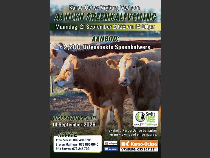 KAROO OCHSE AANLYN SPEENKALFVEILING