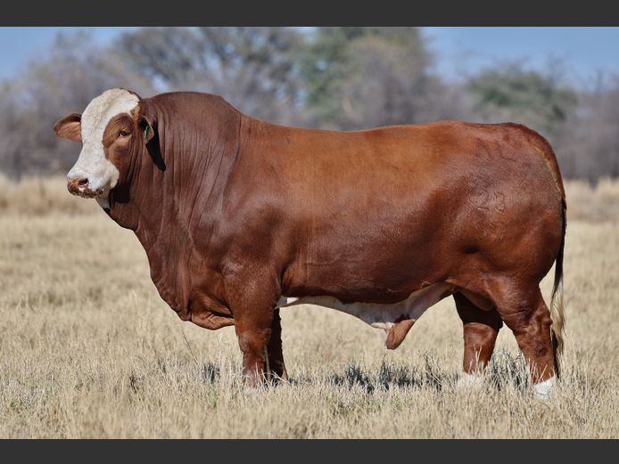 AL230057 HH | AGEN LANDGOED