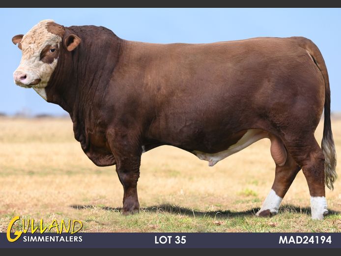 MAD24194 | MG DE JAGER