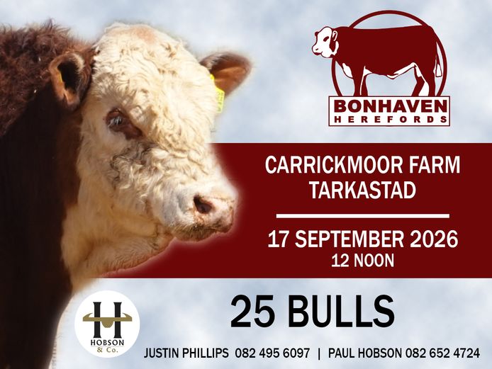 BONHAVEN HEREFORDS BULL SALE