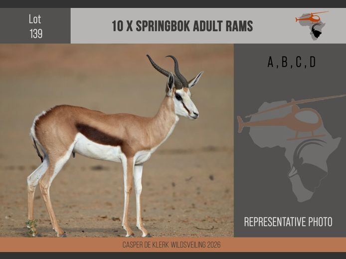 Springbuck