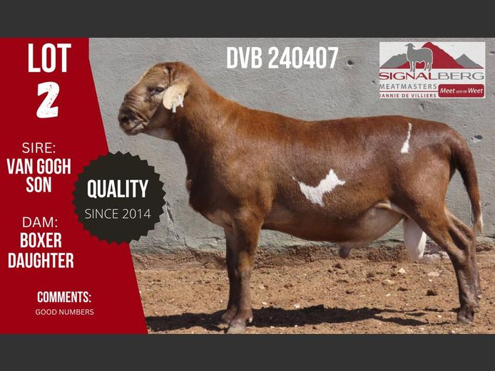 DVB 240407 | SIGNALBERG MEATMASTERS