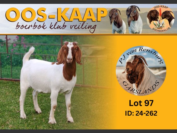 24-262 | PJ van Rensburg