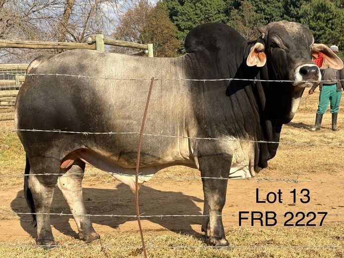 FRB2227 | FALCON RIDGE FARM