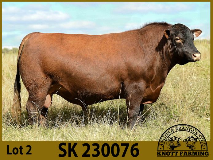 SK 230076 | KNOTT FARMING (PTY) LTD