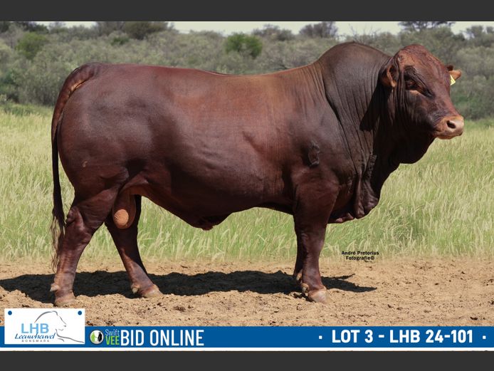 LHB 240101 | LEEUHEUWEL BOERDERY (EDMS) BPK