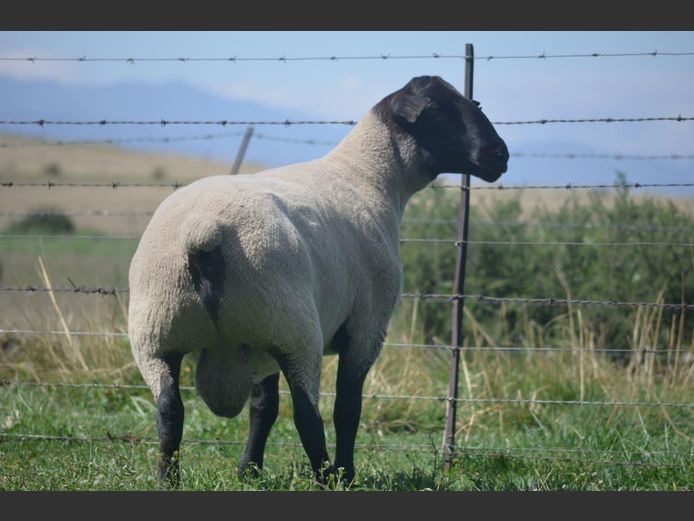 301 240407 | TWEESEUNS