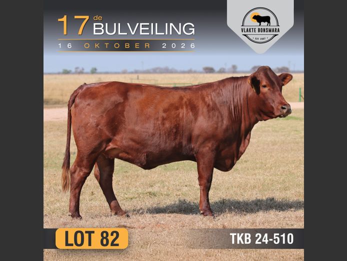 TKB240510 | TIAN KRUGER BOERDERY PTY LTD