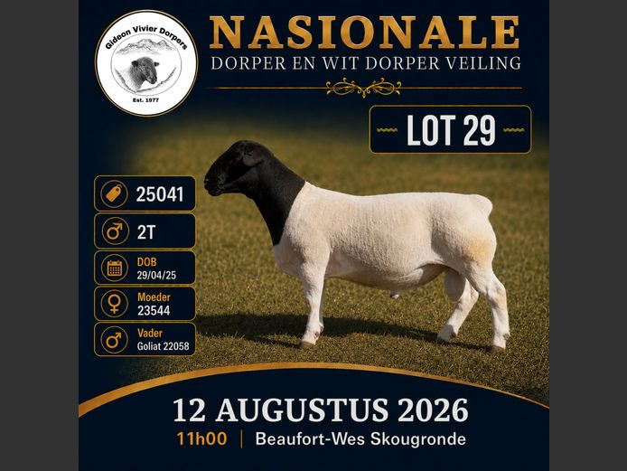 1039 25 0041 | MNR. G. VIVIER