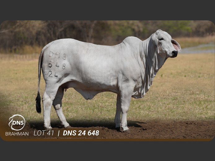 DNS24648 | JES-C BOERDERY (PTY) LTD