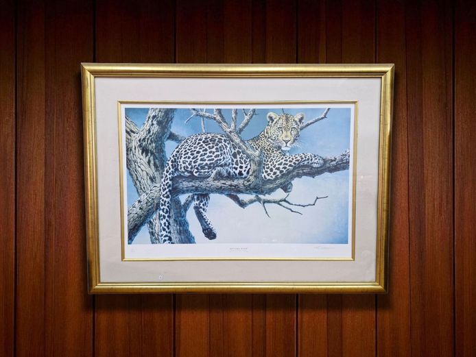 Limited Edition 15/500 Wildlife Signed Print 