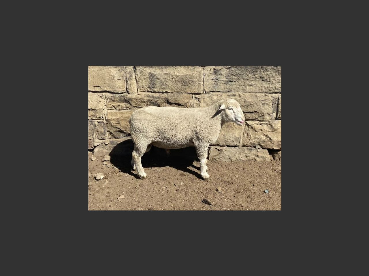 images
