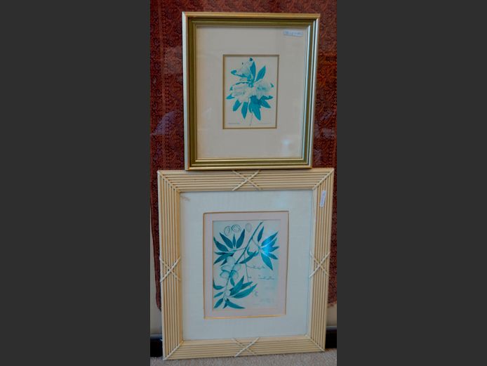 LOT OF 2 FRAMED PRINTS: MARULA FRUIT & FLOWERS [42643-84,85]
