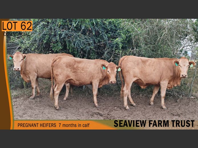 Commercial Animals | SEAVIEW FARM TRUST