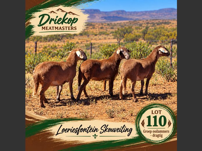Driekop Meatmasters