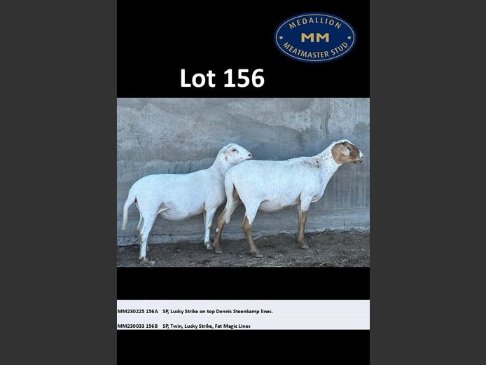 MM 230225 | MEDALLION MEATMASTER STOET
