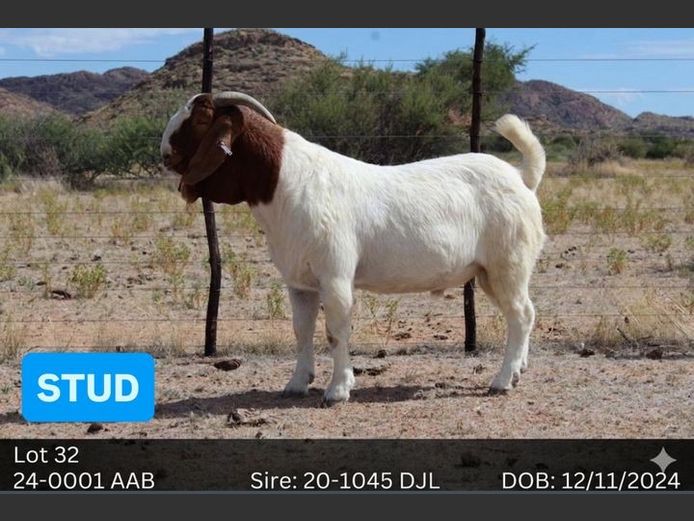 24-0011AAB | AC BOERBOKSTOET