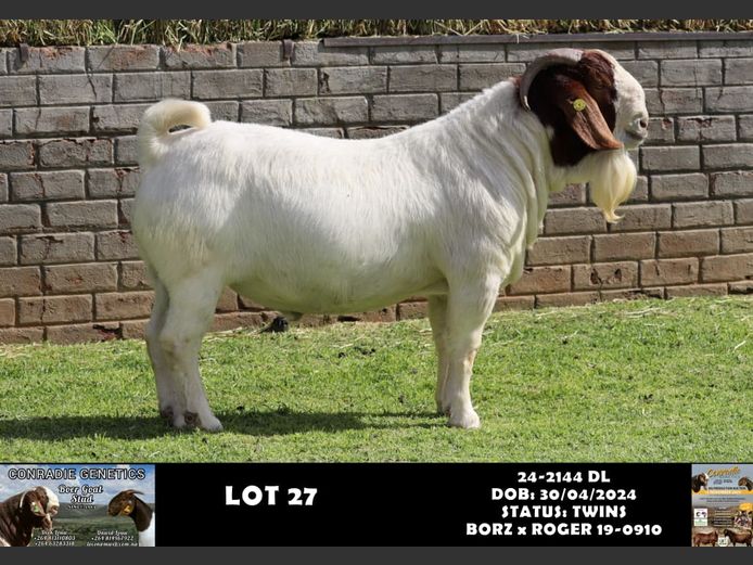 24-2144 DL | DAWID LOUW