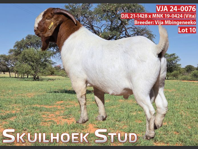 VJA 24-0076 | VIJA MBINGENEEKO