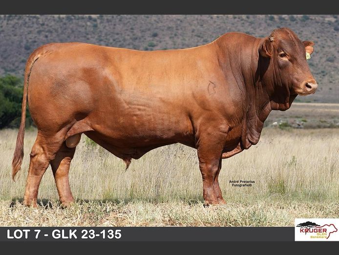 GLK 230135 | KRUGER GLEN BONSMARAS