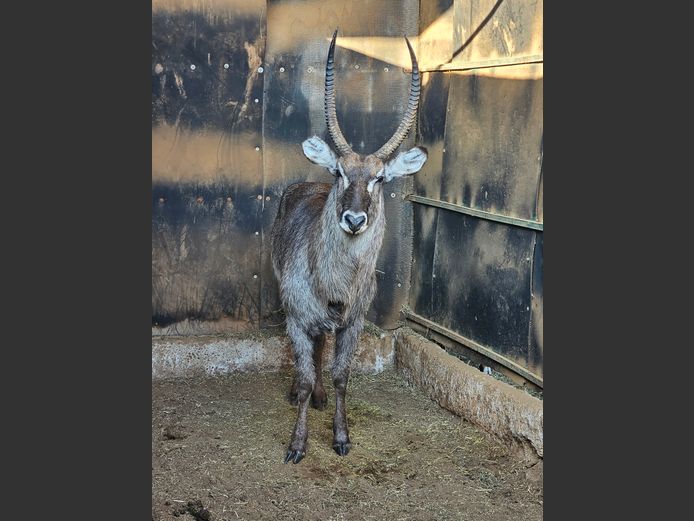 WATERBOK | MOSDENE