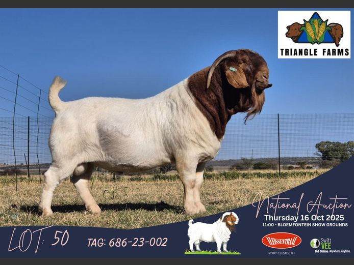 686-23-002 | Jimmy Roberts (Triangle Farms)