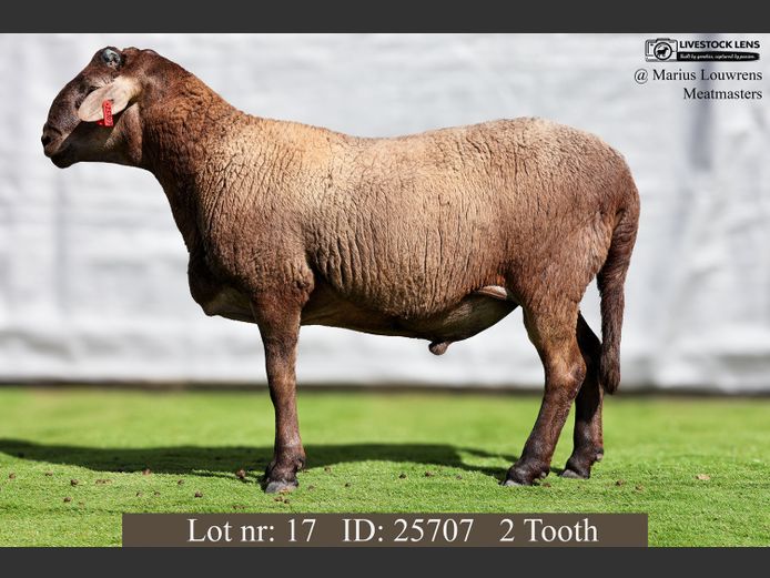 25707 | Marius Louwrens Meatmasters