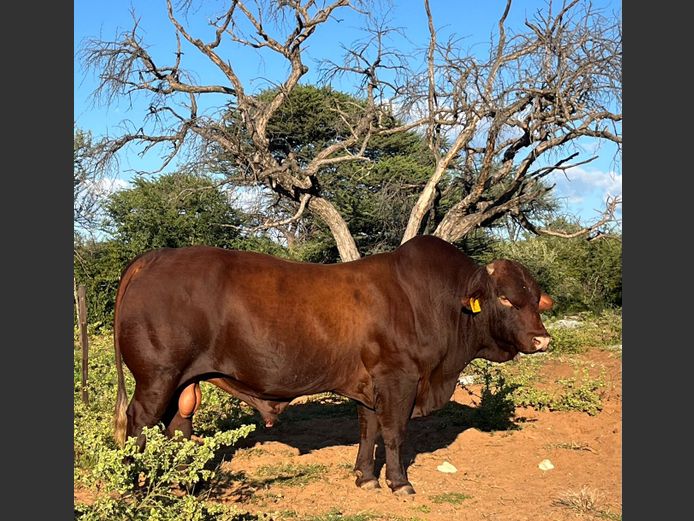 22-0009TDA | A JOOSTE