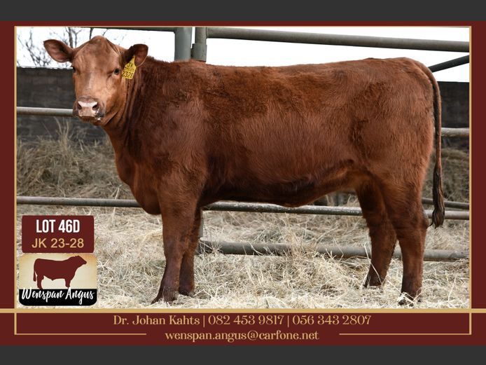 JK 230028 | J. KAHTS