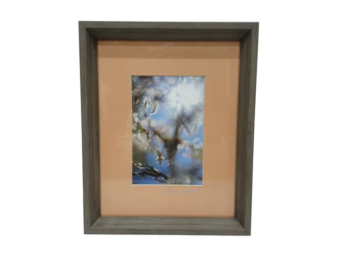 Framed Impressionistic Botanical Photograph by Tony Figueira