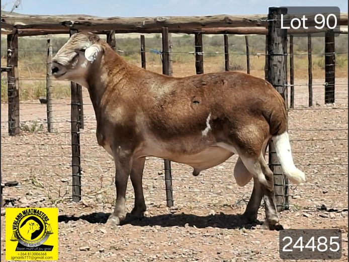 24485 | VERLAND MEATMASTERS 