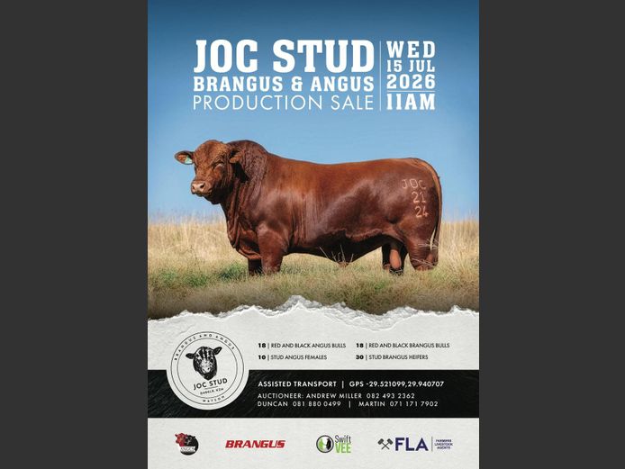 JOC STUD BRANGUS & ANGUS PRODUCTION SALE