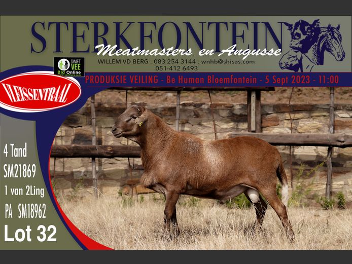 SM 21 869 | Sterkfontein Meatmasters