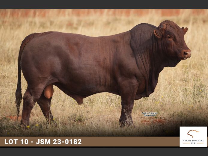 JSM 230182 | MARAIS BONSMARAS