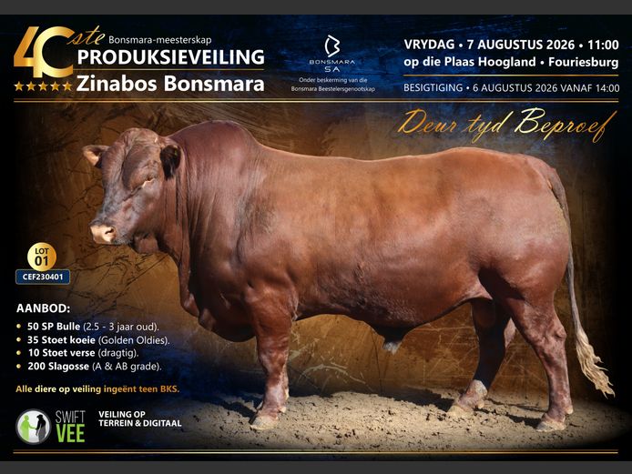 ZINABOS BONSMARA THE 40TH SHOWDOWN