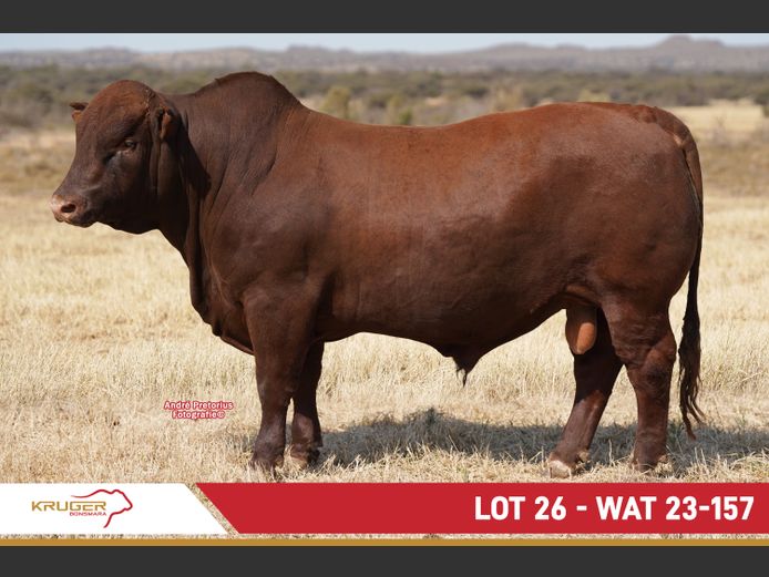 WAT230157 | KRUGER BOERDERY