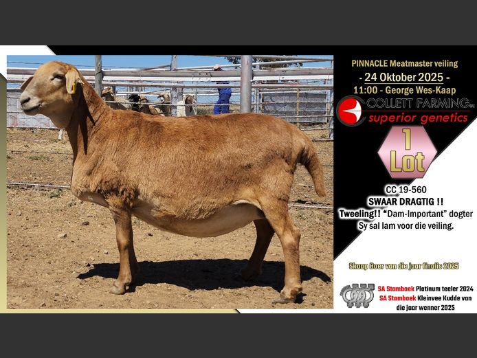 CC  190560 | COLLETT FARMING CC