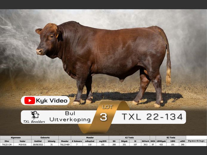 TXL22-134