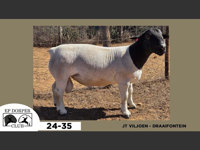24-35  |  JT VILJOEN - DRAAIFONTEIN