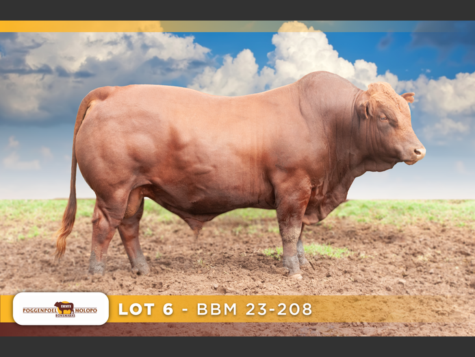 BBM 230208