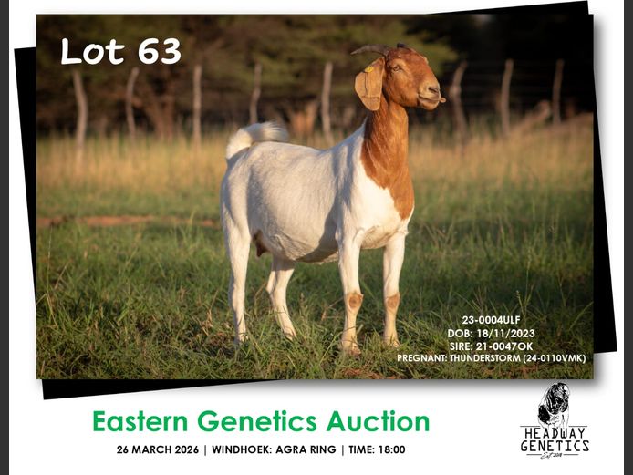 23-0004ULF | HEADWAY GENETICS