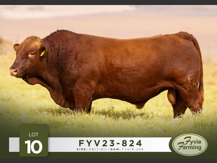 FYV23-824 | Fyvie