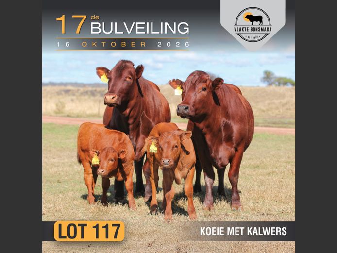 Commercial Animals | Tian Kruger Boerdery