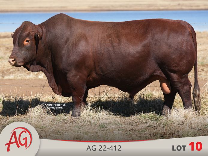 AG220412 HH(c) | ARTHUR DE VILLIERS & SEUN