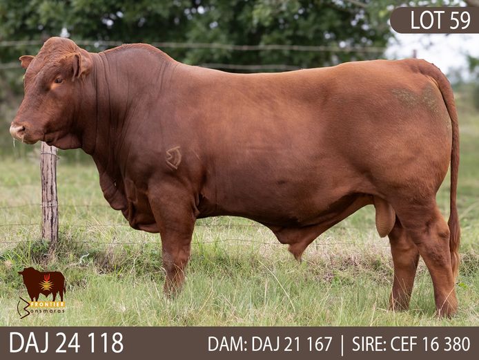 DAJ 240118 | J.D. STIRK