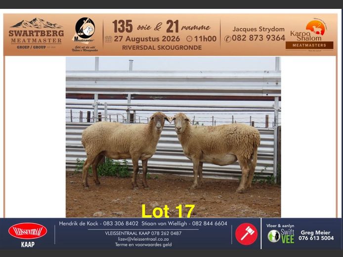 D25.32 | KAROO SHALOM